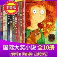 全套儿童文学国际大奖小说注音版10册新蕾出版社一百条裙子书籍兔子坡石狐魔镜桥下一家人飞吧红头发一年级课外书班主任