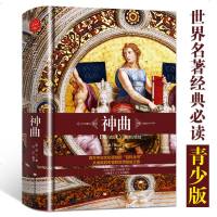 正版精装神曲但丁著炼狱天堂三部曲世界名著经典青少版初高中生课外书六七八九年级 儿童文学外国小说