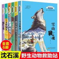 沈石溪动物小说系列全集6册野生动物救助站全套 7-8-12岁儿童文学读物故事书小学生课外书籍三四五六年级阅读课外书初