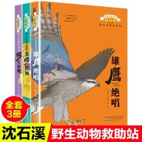 沈石溪动物小说系列野生动物救助站全套3册 雄鹰绝唱/金蛇狂舞/猴王荣耀7-10-12岁儿童文学读物 三四五六年级小学