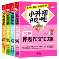 开心作文小升初名校冲刺4册作文获奖作文满分作文押题作文100篇人教版同步4-6年级考试作文小学生作文写作技巧书