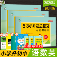 2020新版 5.3小升初总复习语文数学英语试卷小升初考前讲练测六年级小学毕业升学总复习资料专项训练小升初必刷题53