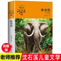 象母怨升级版沈石溪动物小说系列品藏书系7-10-11-14岁五六年级儿童文学课外阅读书籍儿童故事读物浙江少年儿童青少