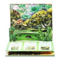 3D立体小百科昆虫家族立体版昆虫书正版揭秘昆虫世界儿童百科全书探秘自然书籍3-6-12周岁趣味科普立体翻翻书儿童绘本