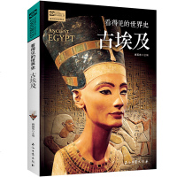 看得见的世界史 古埃及 世界历史全球通史系列 非洲史 揭秘古埃及文明古国的历史 埃及历史书籍 成人版历史青少年历史课