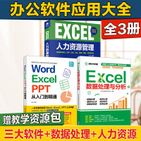 3册 Word excel PPT excel数据处理与分析 office教程表格制作函数公式幻灯片零基础自