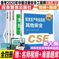 官方 2019中级注册安全师工程师官方考试教材安全生产技术基础法律法规管理实务其他安全应急管理出版社全国中级职业资格