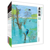 森林报秋春夏冬全套四册 彩色注音版小学生一三四五六年级课外阅读书籍儿童文学课外书 书图书童话书故事书6-7-8