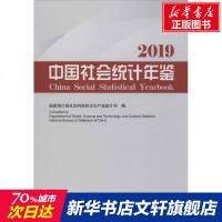 中国社会统计年鉴 2019 中国统计出版社 正版书籍 新华书店旗舰店文轩 统计 审计 统计经管、励志