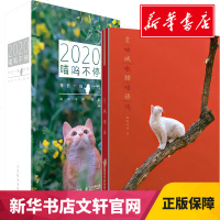 正版[精装随机签名版]皇城猫语主题手账+喵呜不停2020日历 喵呜不停台历故宫日历360多张街猫照片萌宠故宫北海日历