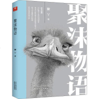 聚沫物语 蒙丫 正版书籍小说 书 新华书店旗舰店文轩 现代/当代文学中国现当代文学 文学 天津人民出版社