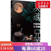 灵魂兄弟 (法)达维德·迪奥普(David Diop) 正版书籍小说 书 新华书店旗舰店文轩 现代/当代文学外