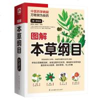 正版 图解本草纲目(白话全译彩图版)中医药学典籍 江苏凤凰科学技术出版社商贸