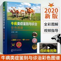 牛病类症鉴别与诊治彩色图谱 养牛技术书籍大全牛病常见病诊断及治疗全书肉牛养殖书牛饲料配方饲养管理牛病类症鉴别防治实用