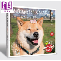 呆萌无敌 柴犬MARU 汪汪散步去 附DVD 港台原版 小野慎二郎 台湾东贩[中商原版]商贸