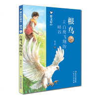 正版 白鹰飞翔的峡谷 童书 中国儿童文学 童话故事 少儿读物 长江少年儿童出版社有限公司商贸