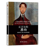 正版 沙发图书馆·丘吉尔的黑狗:忧郁症及人类心灵的其他现象 图书 心理学 心理学 北京大学出版社商贸