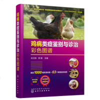正版 鸡病类症鉴别与诊治彩色图谱 鸡场兽医参考工具书籍 鸡病诊疗技术 鸡病常见疾病防治书籍 鸡常见症状鉴别诊断防控策