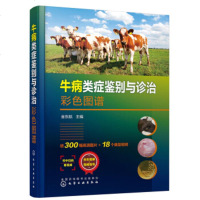 正版 牛病类症鉴别与诊治彩色图谱 牛病诊断zhi疗书籍牛常见传染病寄生虫病内科外科中毒病病因临床症状病理解剖防制方法