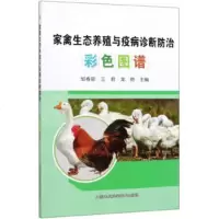 正版 家禽生态养殖与疫病诊断防治彩色图谱 畜牧养殖业专业资料 相关知识书籍商贸