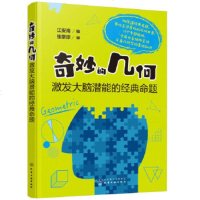 正版 奇妙的几何:激发大脑潜能的经典命题 江安海 趣味数学知识书籍 几何经典名题 海伦公式几何学定理 化学工业出版社