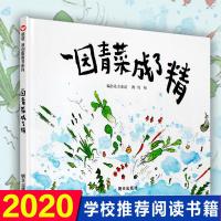 一园青菜成了精 信谊正版精装经典图画书 儿童启蒙认知早教绘本 0-3-4-5-6-8-9岁少幼儿童宝宝亲子民谣儿歌早