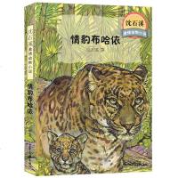 情豹布哈依 沈石溪 动物小说 儿童文学图书少儿故事书6-7-10-12岁四五六年级小学生课外阅读书籍 青少年启发读物