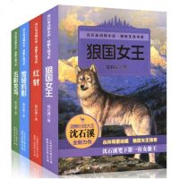 沈石溪动物小说感悟生命书系(1-4)