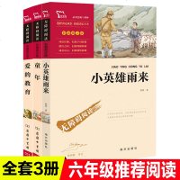 全套3册南方出版社管桦小英雄雨来爱的教育童年高尔基正版原著完整版快乐读书吧六年级上册小学生课外书部编版人教6上三