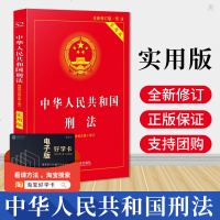 官方正版 2019中华人民和国刑法实用版第八版第8版刑法修正案十刑法基础知识书司法解释案例分析刑法法条单行本中国法