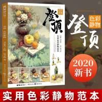 登顶色彩静物 2020敲砖美术高考静物色彩照片基础训练单体静物色调稿步骤解析联考水fen画经典全集课件书