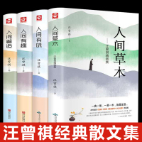 全套4册汪曾祺散文短篇小说精选集人间草木+人间有味+人间有趣+人间邂逅正版原著原版经典全集现代随笔名家文学作品  书