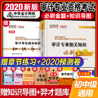 审计师初中级考试2020审计专业相关知识必刷金题 注册审计师执业资格考试教材同步试题中华会计网校梦想成真练习题