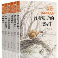 杨红樱童话画本(6册)