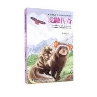 正版 虎鼬传奇 图书 童书 中国儿童文学 侦探 冒小说 马文秋 著 动物故事大王马文秋深探野外无人之境 福建科学技