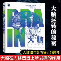 正版 大脑运转的秘密 张远超 大脑控制中枢控制着我们躯体和各个器官的运转 大脑思维运转揭秘大全书籍 脑科学神经科学研