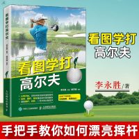 看图学打高尔夫 李永胜 高尔夫入教程 手把手教你如何漂亮挥杆 站姿握杆切杆推杆 一号木技术等运动常用技术详解高尔夫