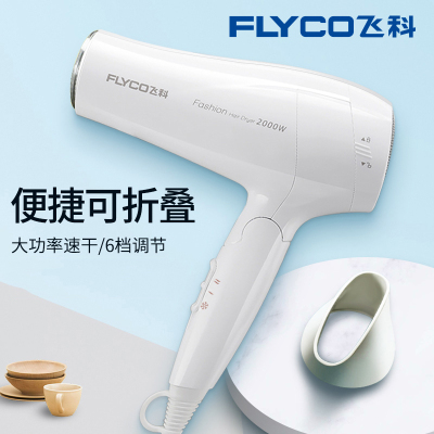 飞科(FLYCO)飞科电吹风机家用大小功率宿舍用学生发廊发型师专用冷热风筒