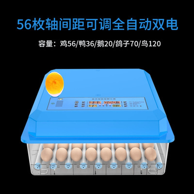 卵化机孵小鸡鸭鹅鸽子鹌鹑孵化机孵化器全自动家用小型孵蛋器浮付 56枚双电全自动滚轴照蛋可调间距