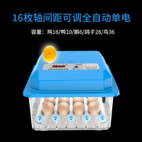 全自动家用型小型孵化机小鸡鸽子鹌鹑孵化器电抱孵蛋机孵化箱设备 16枚单电全自动滚轴照蛋可调间距