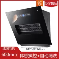 小型公寓抽油烟机侧吸式500mm60cm宽小尺寸单灶出租房简易抽烟机 600mm升级+滤网+体感清洗标配