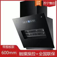 小型公寓抽油烟机侧吸式500mm60cm宽小尺寸单灶出租房简易抽烟机 600mm升级+滤网+触摸带围板