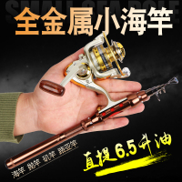 小海竿超硬便携超短节甩杆迷你钓鱼竿抛竿远投矶竿海杆路亚竿套装