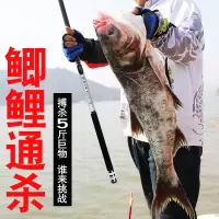 特价短节钓鱼竿手竿碳素溪流竿28调超轻超硬鲫鱼杆鲤鱼竿手杆套装