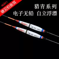 瑭见怕猎青纳米电子浮漂塘见怕无铅自立鱼漂夜光流氓漂渔具