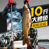 鱼竿超轻硬高碳素 8米长节杆标准28调台钓竿鲤鱼竿综合鱼竿杆硬调