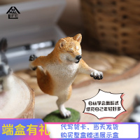 Animal Life 狗瑜伽大师系列盲盒玩偶手办潮流玩具摆件送女生