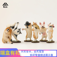 Animal Life 研达狗舞林大师 狗舞蹈 系列盲盒玩偶手办潮流玩具