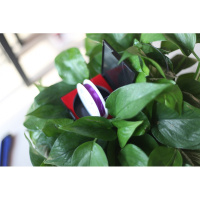 随渔坊钓鱼线主线线东丽主线子线正品超柔软超强拉力台碳线