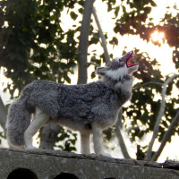 仿真狼模型摆件仿真动物小狼毛绒玩具狼标本工艺品狼图腾镇宅辟邪